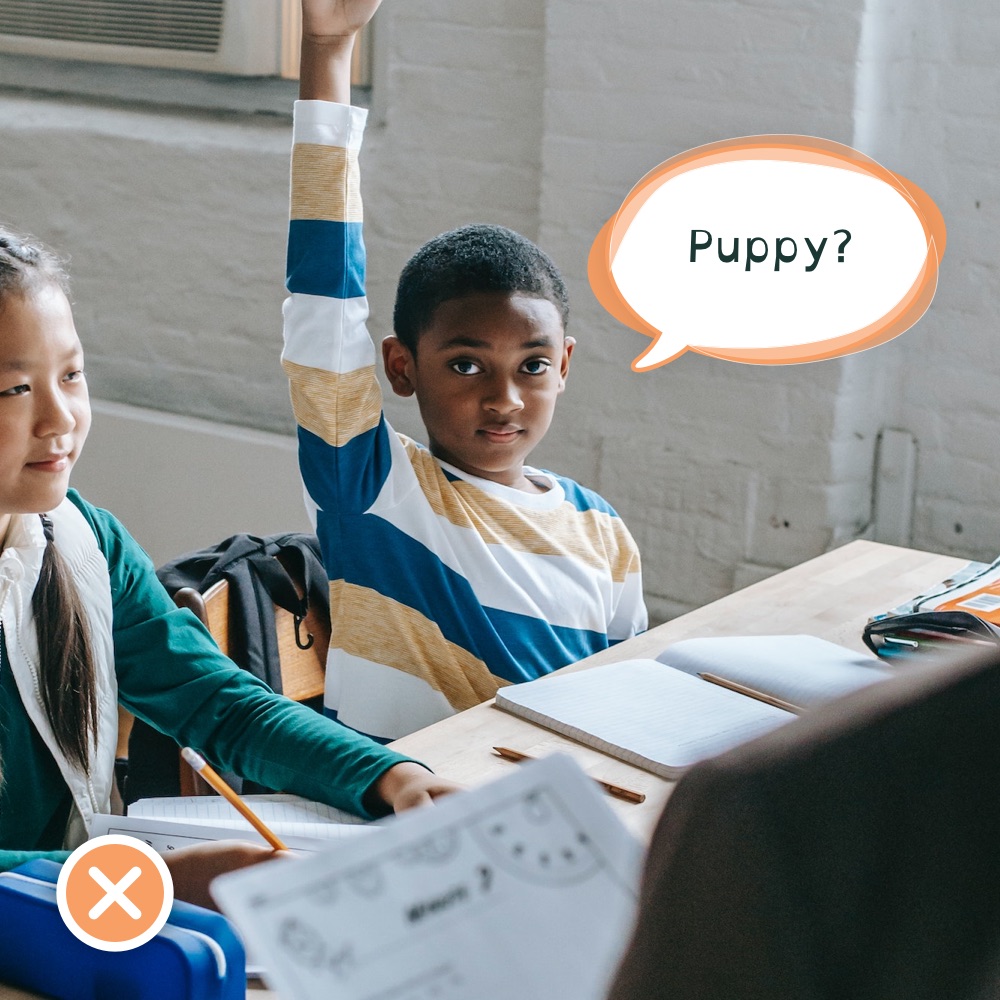 student raising their hand with the wrong answer: Puppy?