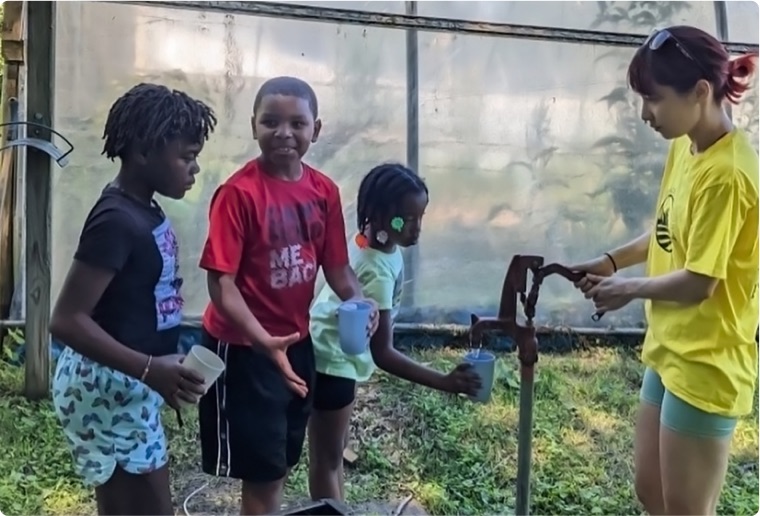students helping water plants in a greenhouse